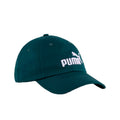 Gorra Puma Ess No.1 Logo Bb Cap 025999 13