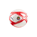 Balón Puma Chg Culture Ball Mini 084773 02